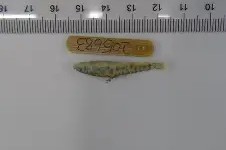 米兰国际平台 -鎯犳櫘3838