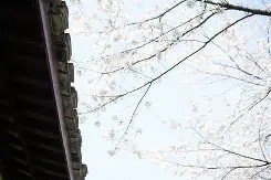 米兰登录 -虚拟语气had提前的否定句